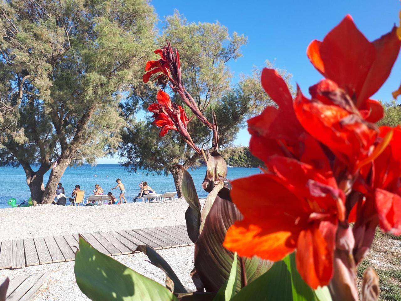 Zante Dahlia Hotel Laganas Ngoại thất bức ảnh